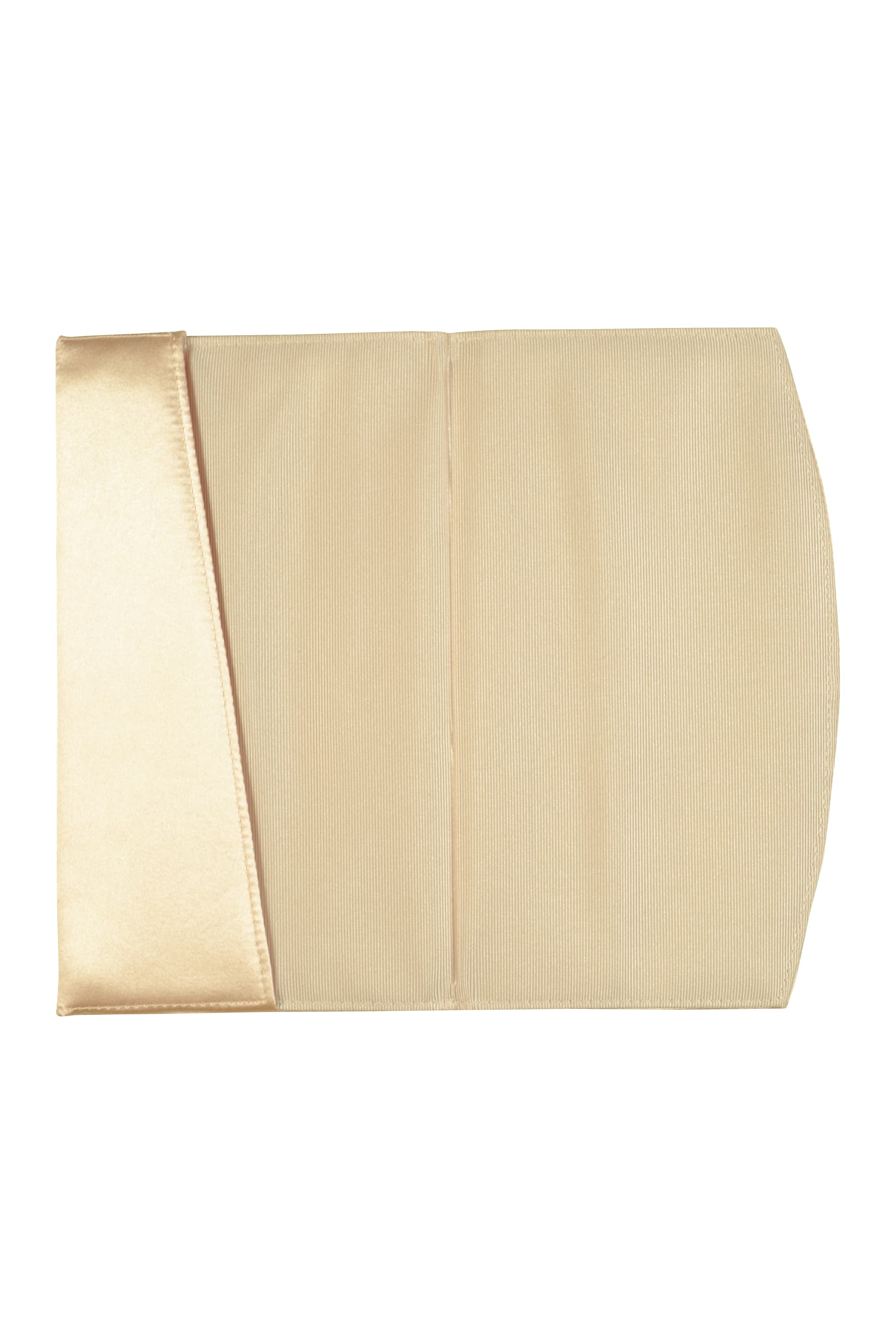 シンプルリボンシャンパン袱紗