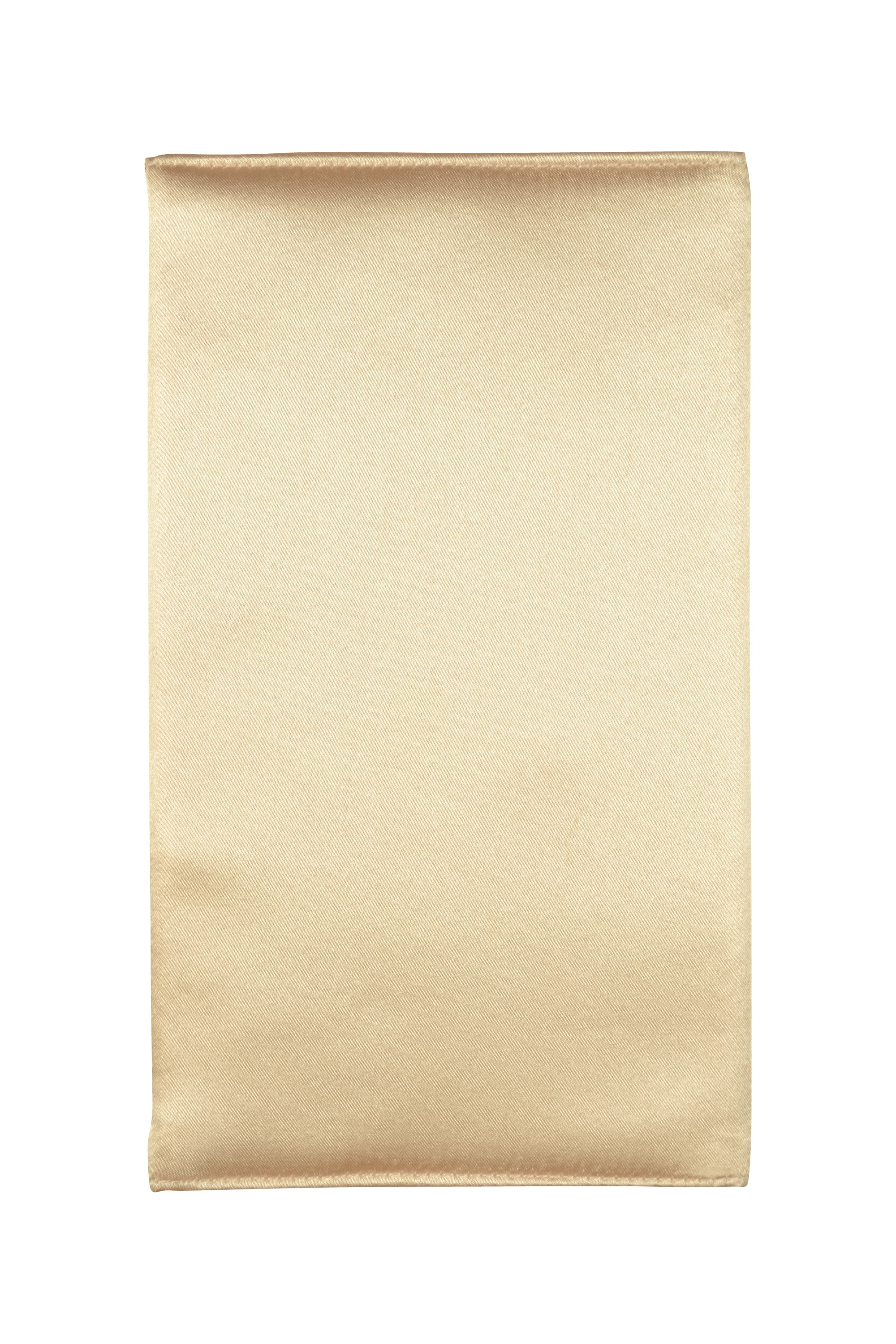 シンプルリボンシャンパン袱紗